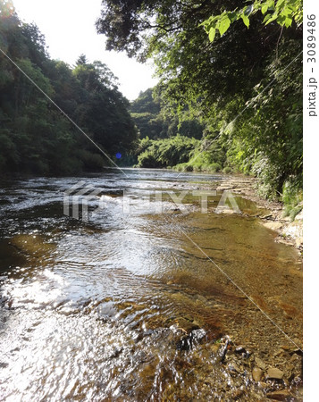 養老渓谷 3089486