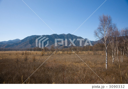 戦場ヶ原 3090332