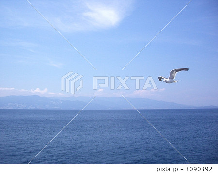 初島/青空とカモメ 3090392