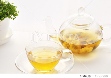 菊花茶　 3090900