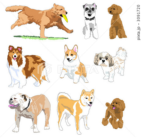 人気ダウンロード かわいい 犬 イラスト 走る 最高の壁紙のアイデアcahd