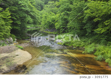 青森 薬研渓谷 青森 薬研渓谷 3091775