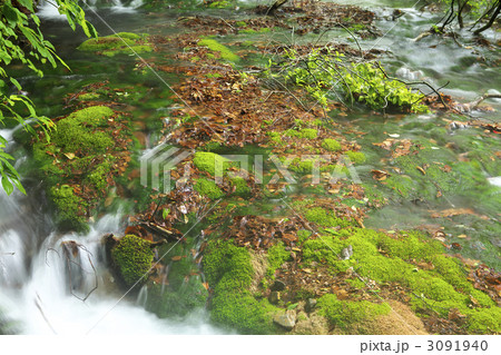 秋田 獅子ヶ鼻湿原 秋田 獅子ヶ鼻湿原 3091940