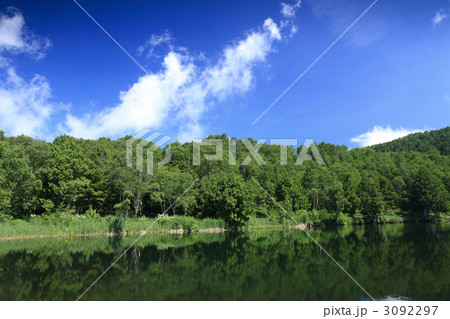 木戸池 木戸池 3092297