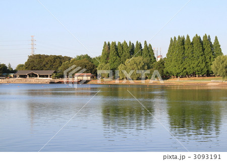 久喜菖蒲公園 3093191