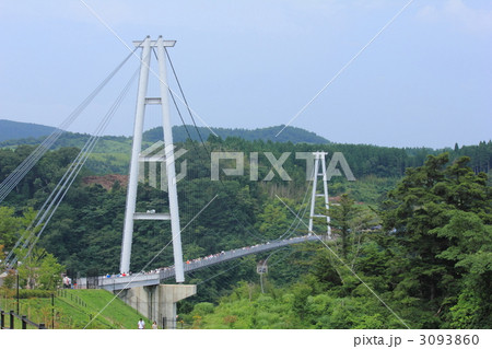 九重夢大吊橋 九重夢大吊橋 3093860