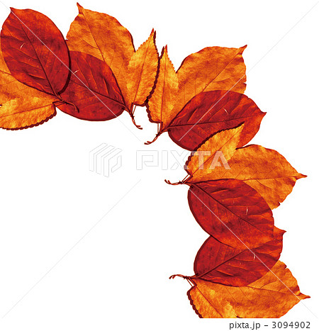枯れ葉 葉 落ち葉のイラスト素材