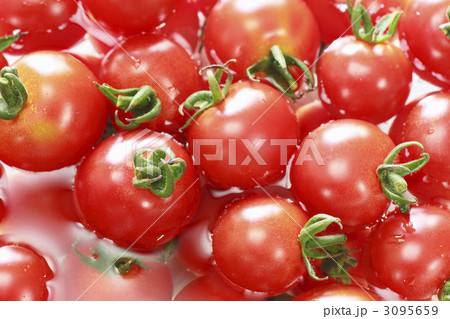 プチトマト 3095659