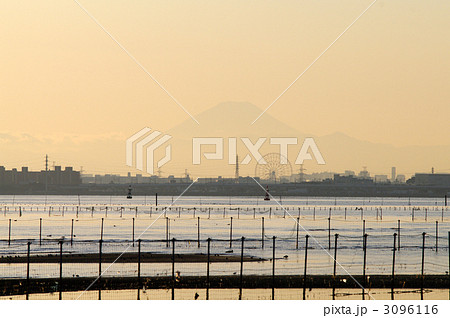 三番瀬の夕暮れに浮かぶ富士山 3096116