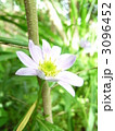 都忘れ 3096452