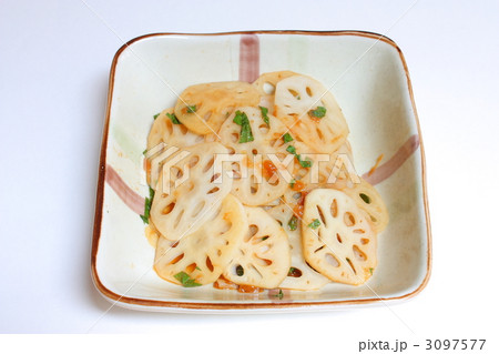 蓮根の梅肉と大葉和え（白バック） 3097577