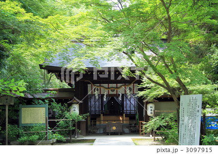 京都・梨木神社 3097915
