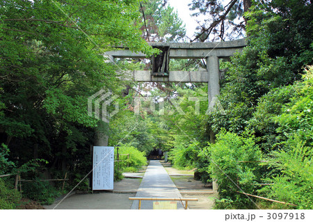 京都・梨木神社 3097918