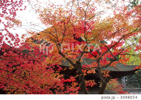 定光寺　紅葉 3098054