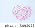 3098055