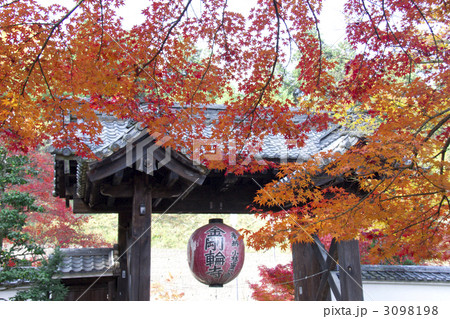 金剛輪寺　紅葉 3098198