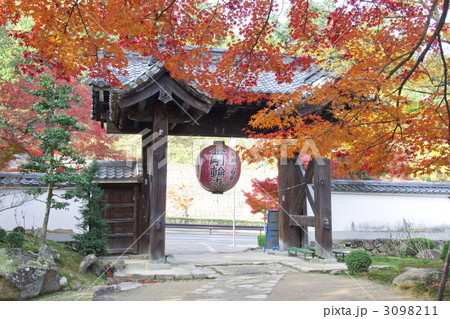 金剛輪寺 紅葉 金剛輪寺 紅葉 3098211