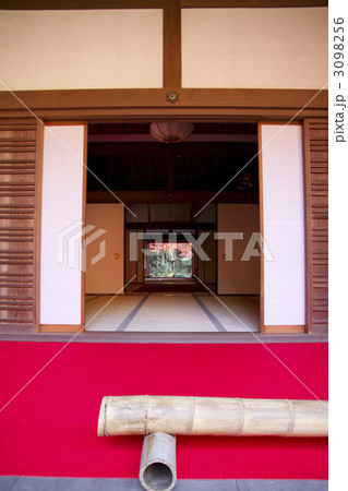 金剛輪寺　紅葉 3098256