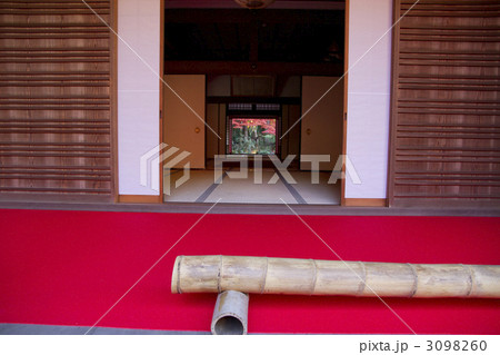 金剛輪寺 紅葉 金剛輪寺 紅葉 3098260