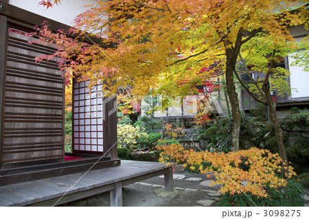 金剛輪寺　紅葉 3098275