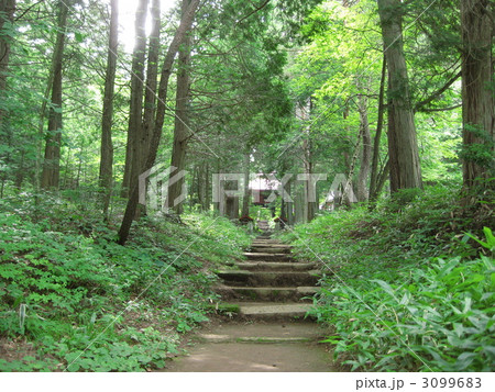 誰もいない山寺 誰もいない山寺 3099683