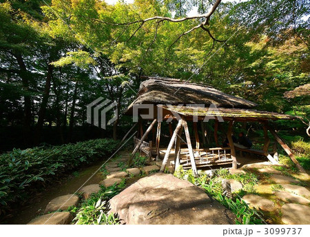 六義園のつつじ茶屋 六義園のつつじ茶屋 3099737