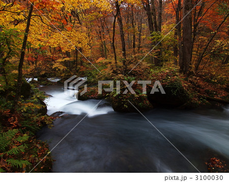 紅葉の奥入瀬渓流、奥へ 紅葉の奥入瀬渓流、奥へ 3100030