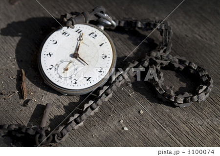 3100074