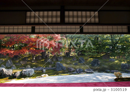 圓徳院 北庭 圓徳院 北庭 3100519