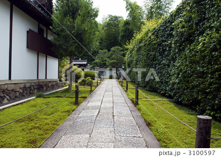 東福寺塔頭　芬陀院 3100597