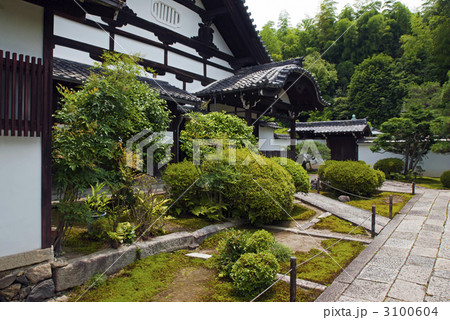 東福寺塔頭　芬陀院 3100604
