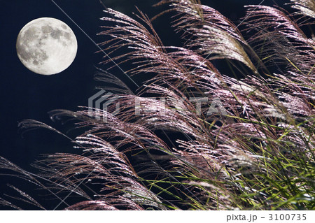 中秋の名月 3100735