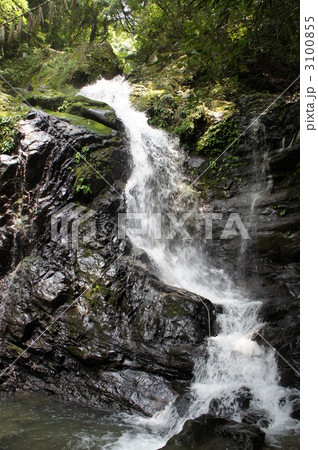犬鳴山 行者の滝 3100855