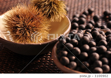 丹波の栗と黒豆 3100902