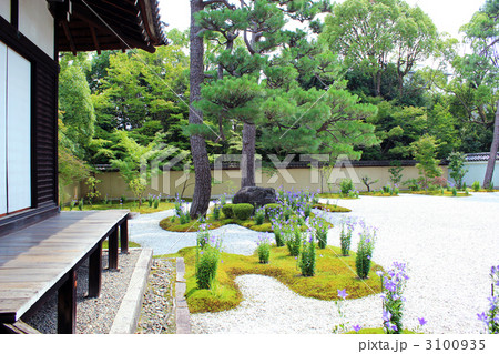 京都廬山寺・源氏庭 3100935