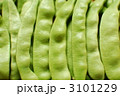 モロッコ豆_2 3101229