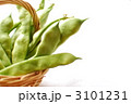 モロッコ豆_5 3101231