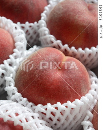 ごろごろシリーズ　もも 3101341