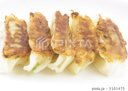 焼き餃子 3101475