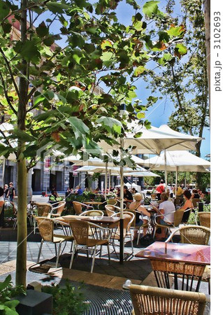 春の訪れ 3102693