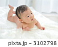 赤ちゃんうつ伏せの画像 3102798