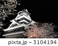 熊本城と夜桜、横構図 3104194