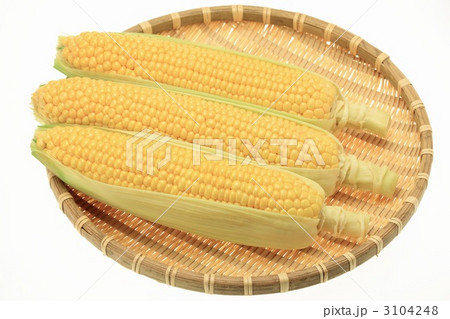 ざるの中のトウモロコシ ざるの中のトウモロコシ 3104248