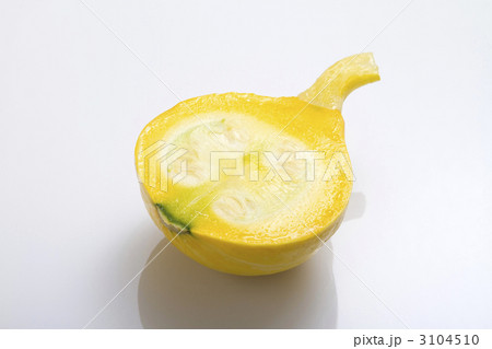 3104510