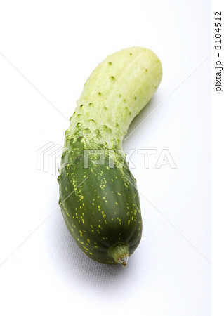 3104512
