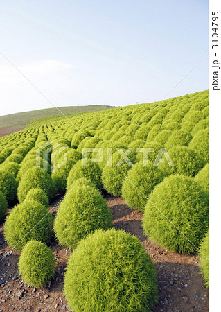 みはらしの丘 3104795