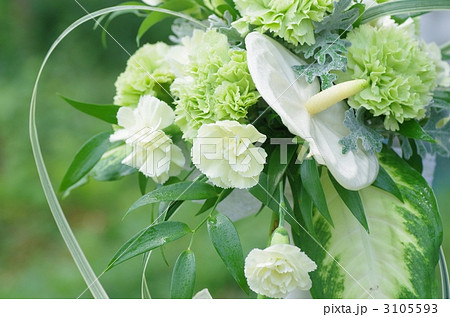 カーネーションのブーケ カーネーションのブーケ 3105593