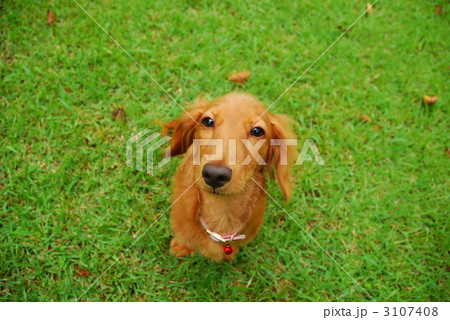 3107408