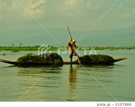湖で働く人（インレー湖畔／ミャンマー） 3107866