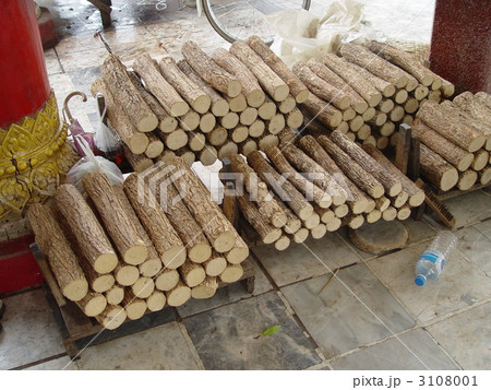 タナカの木(マンダレー/ミャンマー) タナカの木(マンダレー/ミャンマー) 3108001